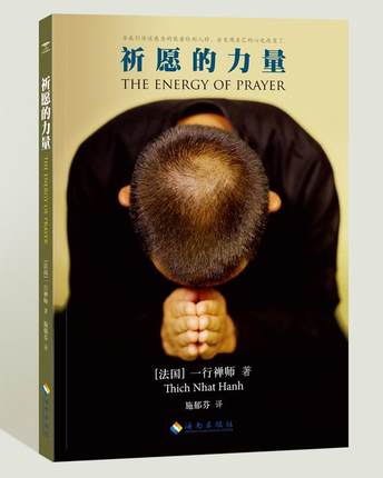 《祈愿的力量》PDF下载 一行禅师用温柔智慧的语言教导的身心康宁之法